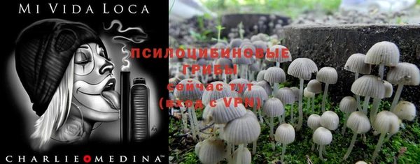 MDMA Premium VHQ Армянск