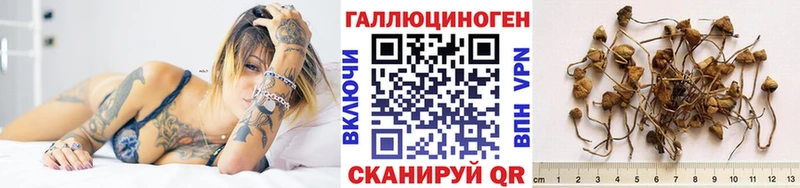Псилоцибиновые грибы MAGIC MUSHROOMS  наркота  Тобольск 